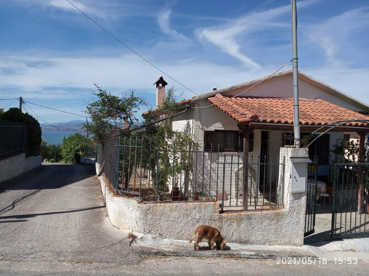Sea View Dilesi Villa Dhílesi Exterior photo